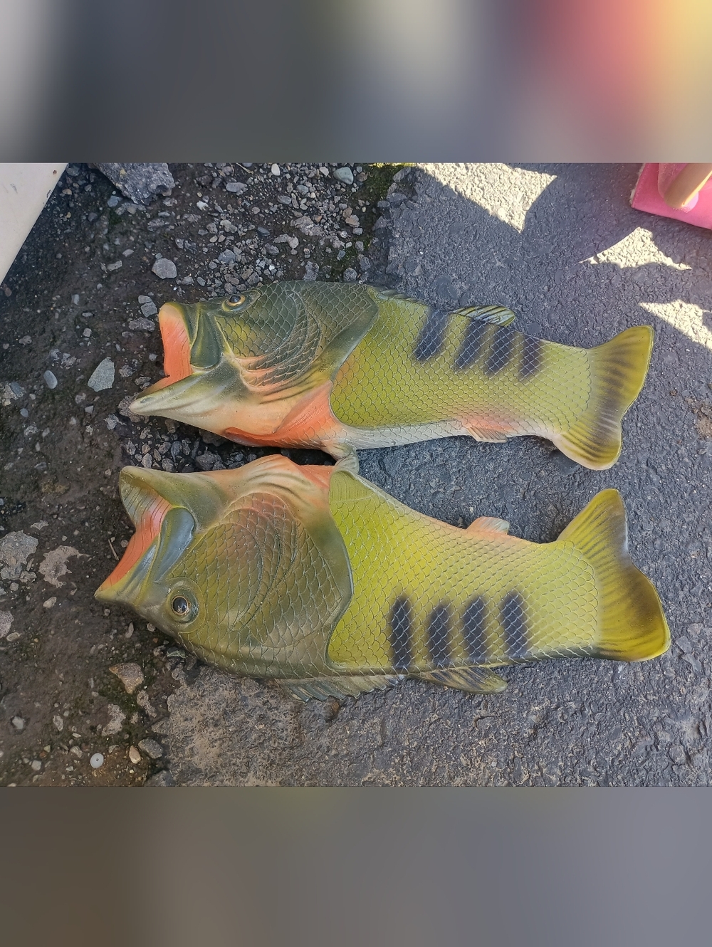 Bass C W Products Fish Slip On Shoes